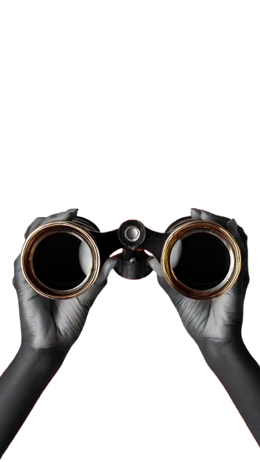 Fisher & Paykel Repair Dubai Excellence